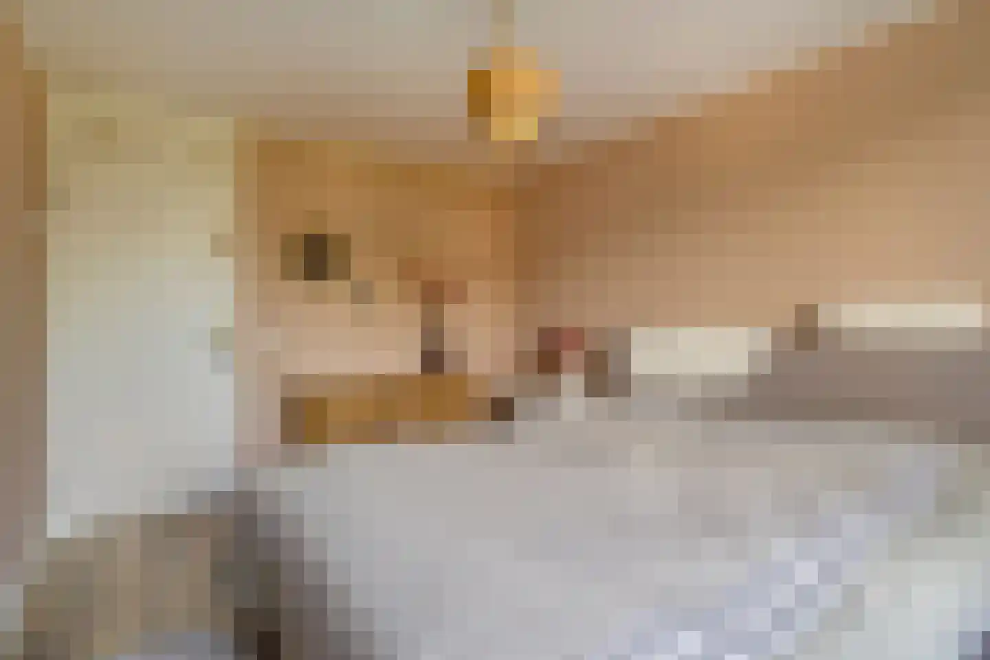 Zwaardenburg 1 Nieuwegein thumbnail 24
