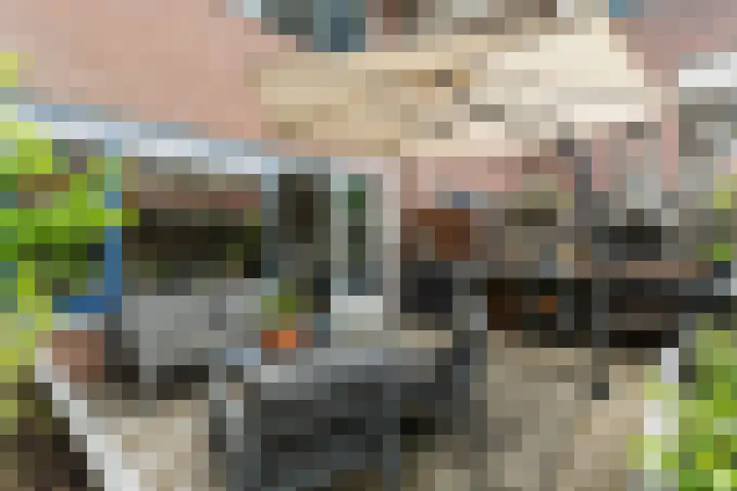 Zwaardenburg 105 Nieuwegein thumbnail 20