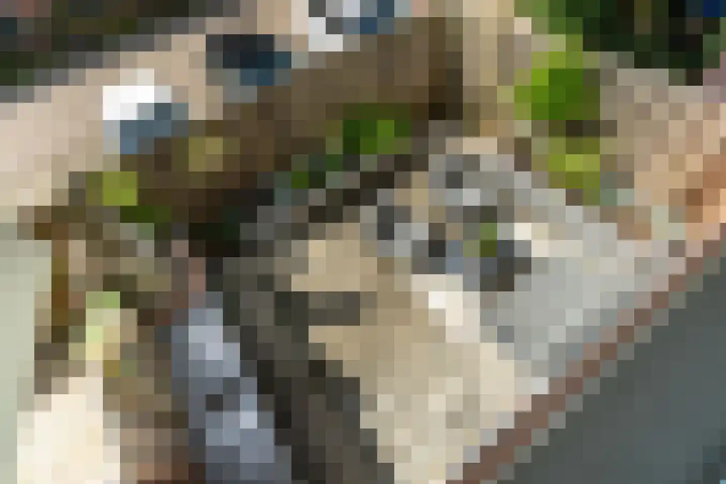 Zwaardenburg 105 Nieuwegein thumbnail 23