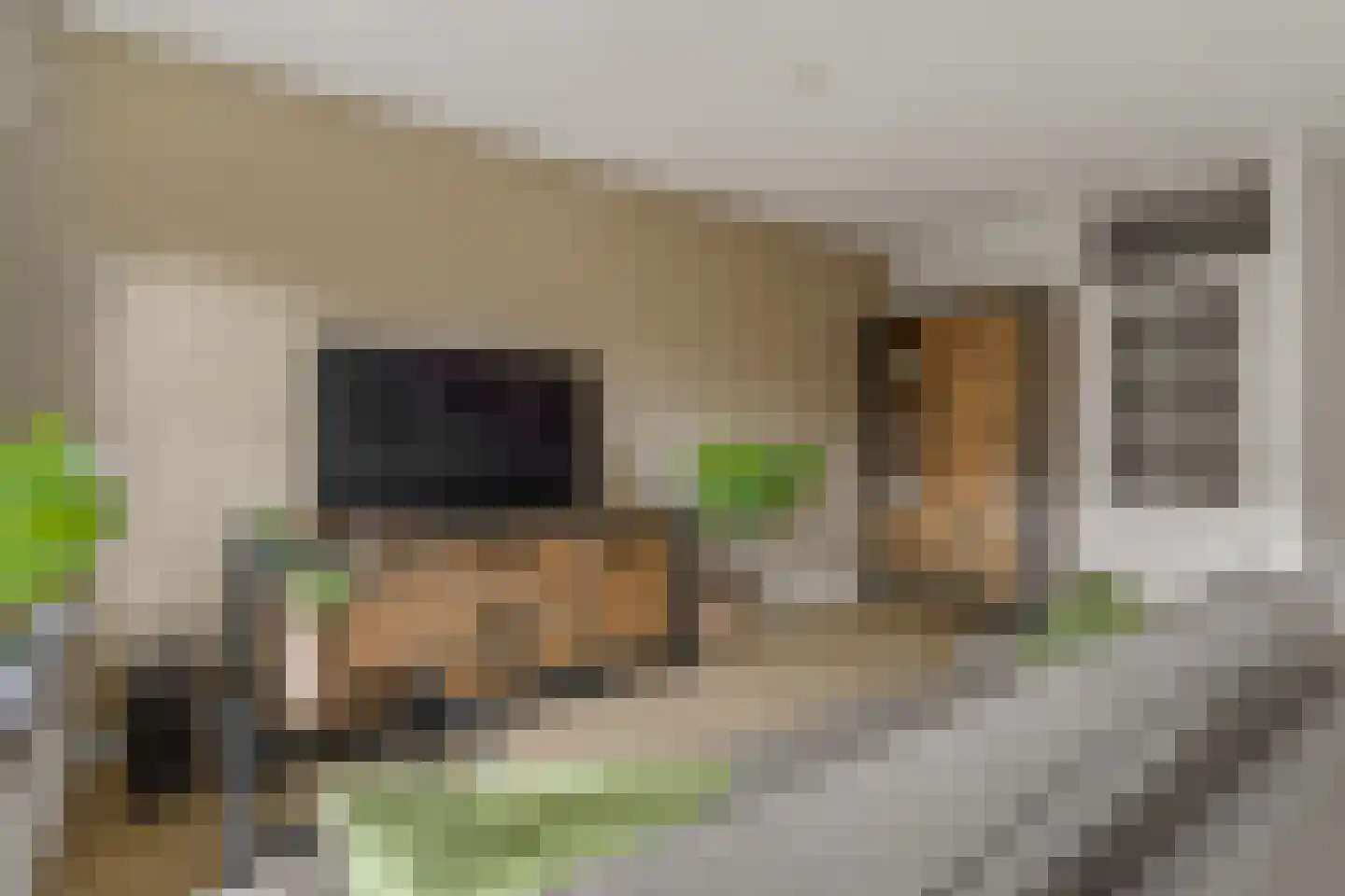 Zwaardenburg 105 Nieuwegein thumbnail 8