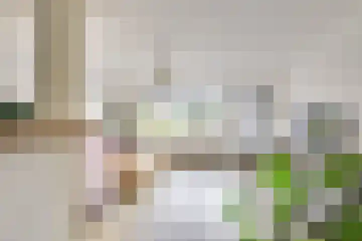 Zwaardenburg 12 Nieuwegein thumbnail 8
