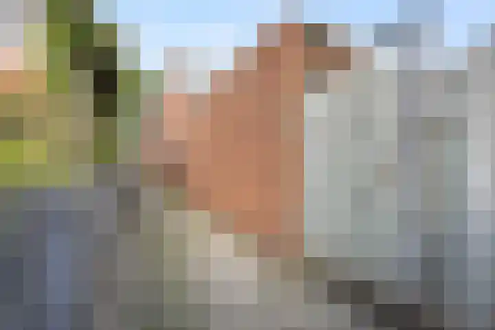 Zwaardenburg 149 Nieuwegein thumbnail 38