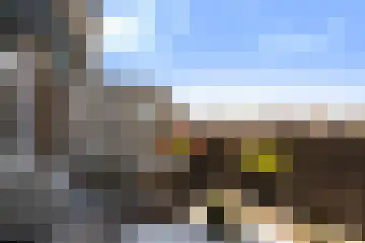 Zwaardenburg 34 Nieuwegein thumbnail 24
