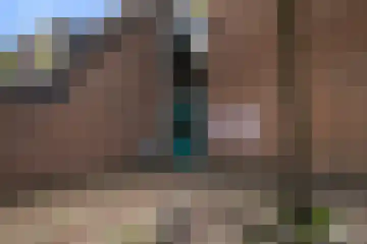 Zwaardenburg 34 Nieuwegein thumbnail 5