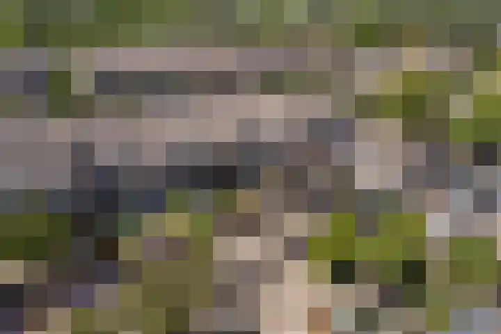 Zwaardenburg 34 Nieuwegein thumbnail 56
