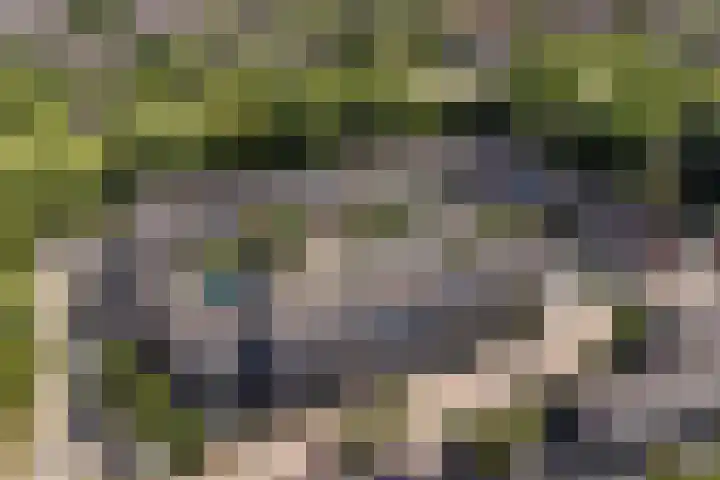 Zwaardenburg 34 Nieuwegein thumbnail 57
