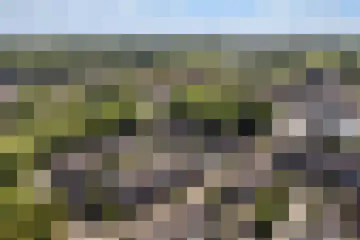 Zwaardenburg 34 Nieuwegein thumbnail 58