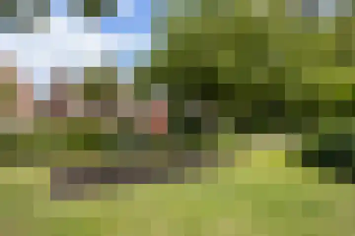 Zwaardenburg 34 Nieuwegein thumbnail 59