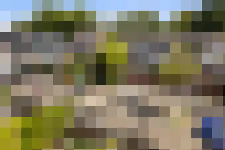 Zwaardenburg 34 Nieuwegein thumbnail 60