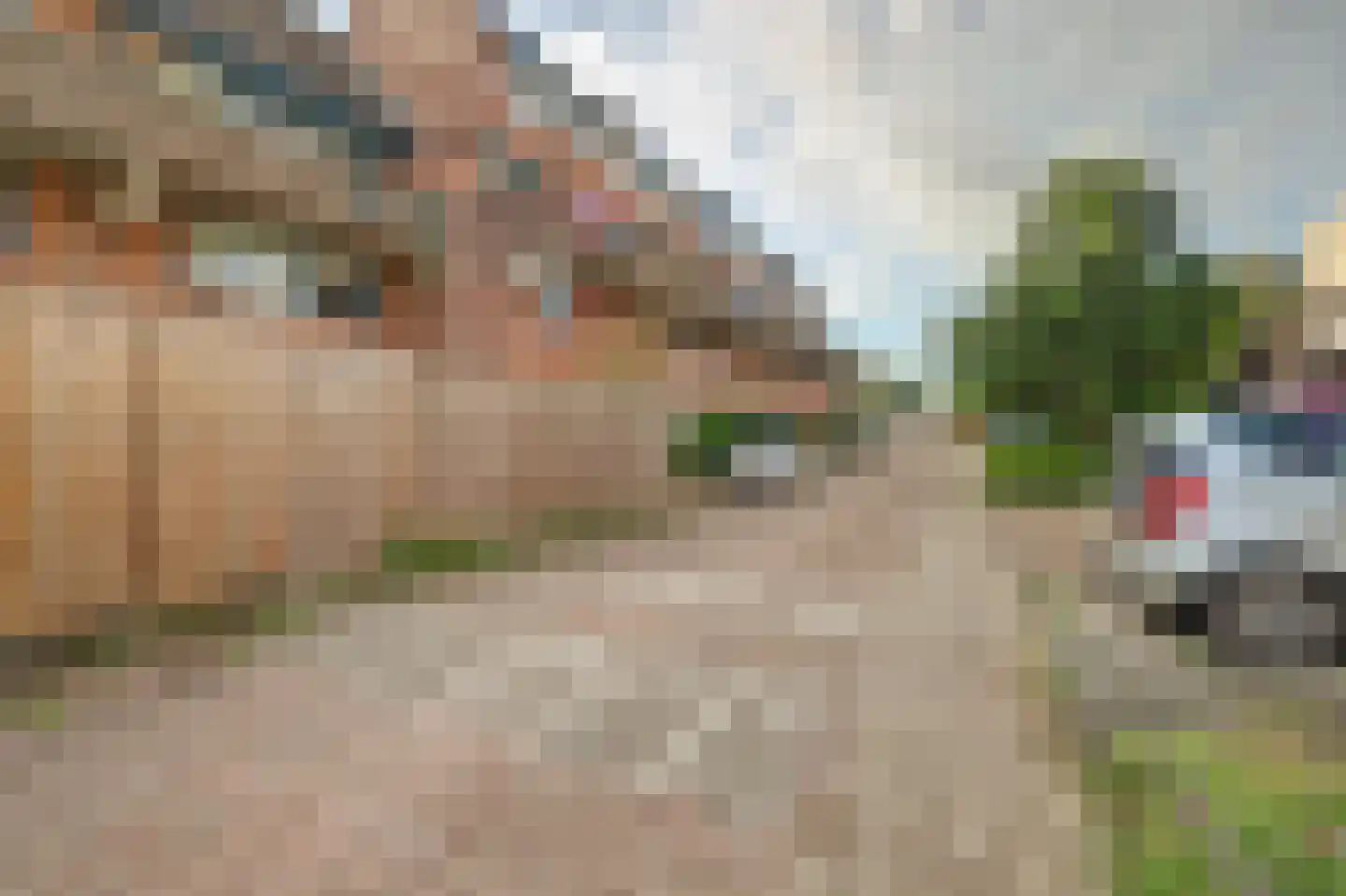 Zwaardenburg 36 Nieuwegein thumbnail 35