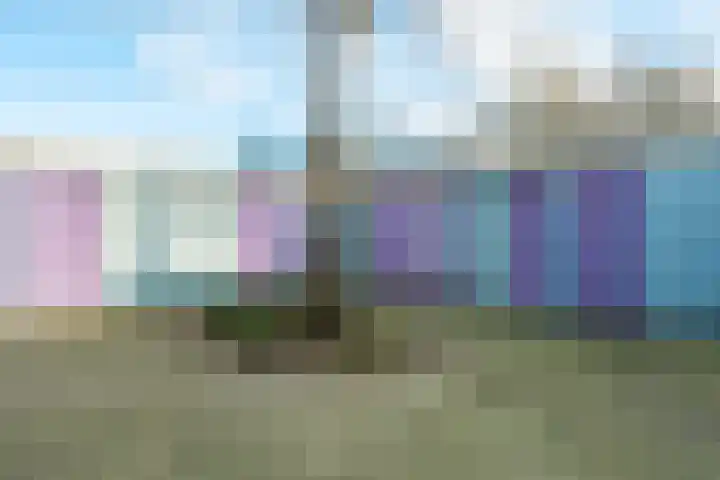 Zwaardenburg 40 Nieuwegein thumbnail 22