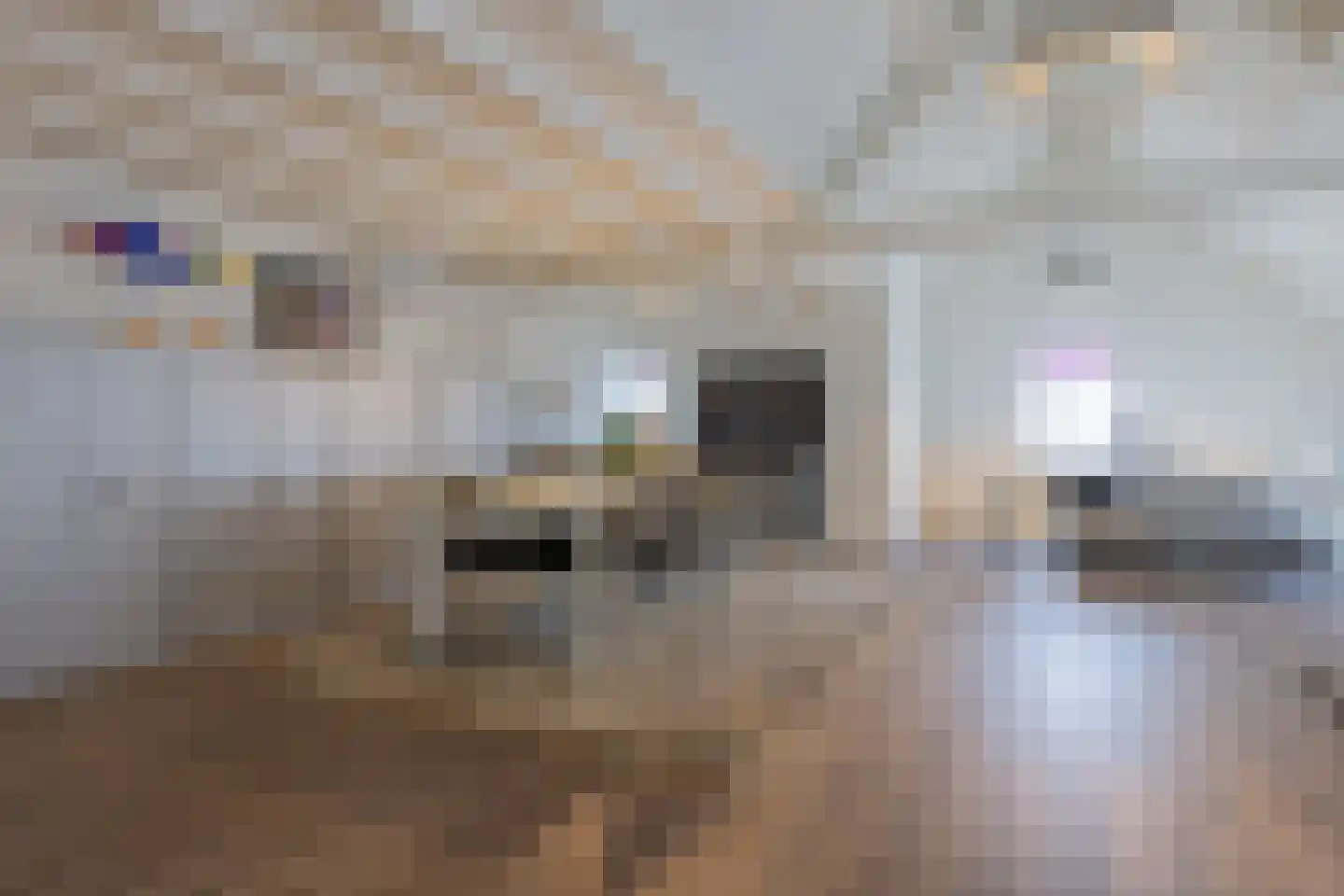 Zwaardklamp 7 Huizen thumbnail 13