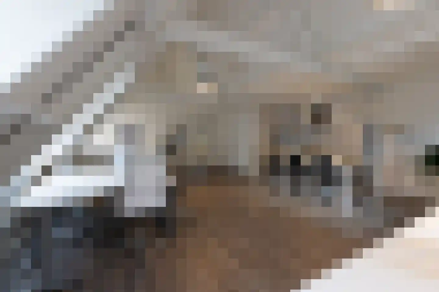 Zwaardklamp 7 Huizen thumbnail 17