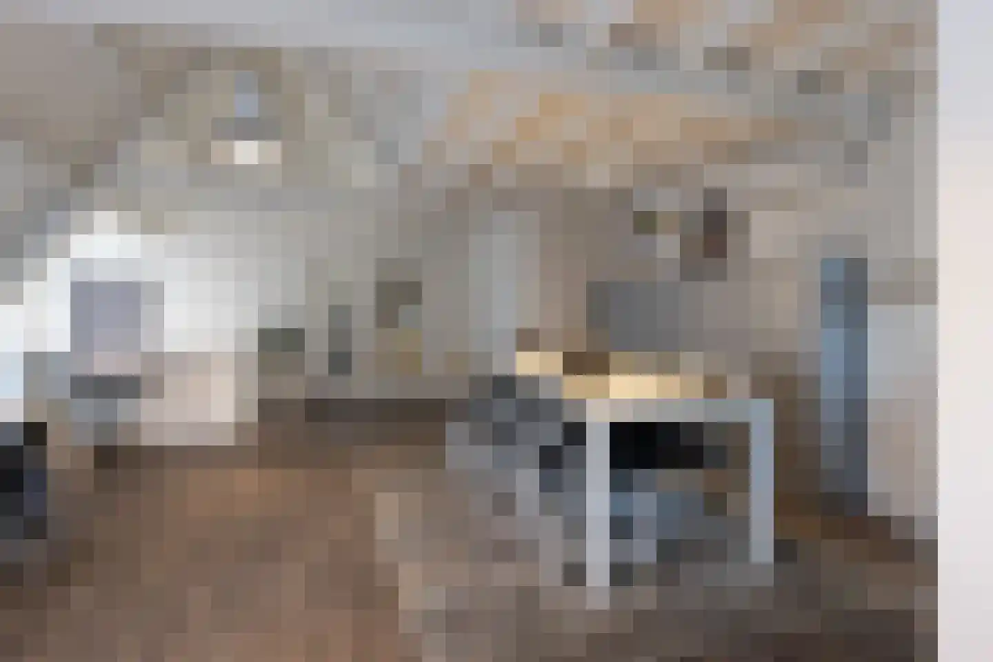 Zwaardklamp 7 Huizen thumbnail 18