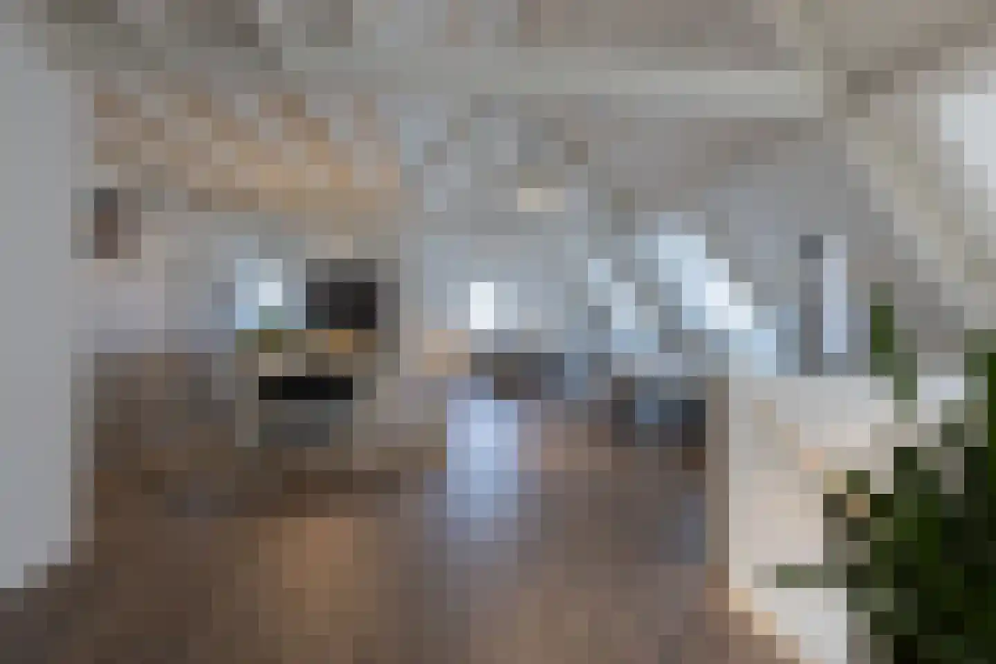 Zwaardklamp 7 Huizen thumbnail 21