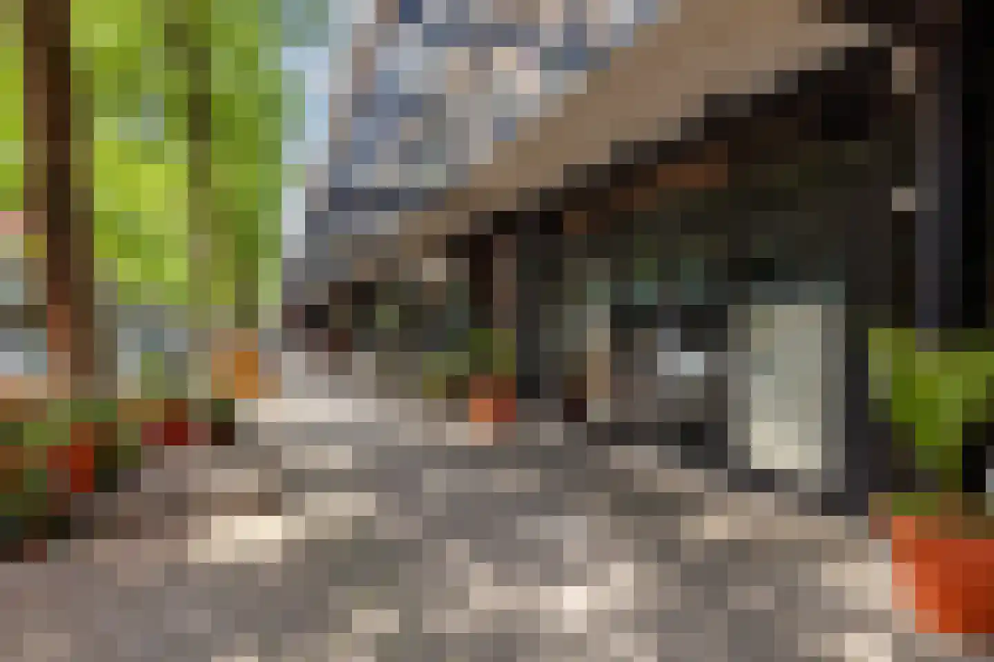 Zwaardleliestraat 25 Rotterdam thumbnail 33