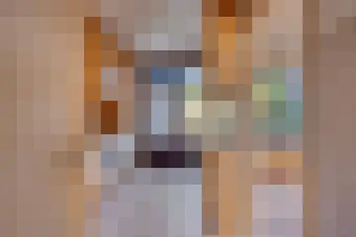 Zwaardvegersdreef 1 Maastricht thumbnail 10