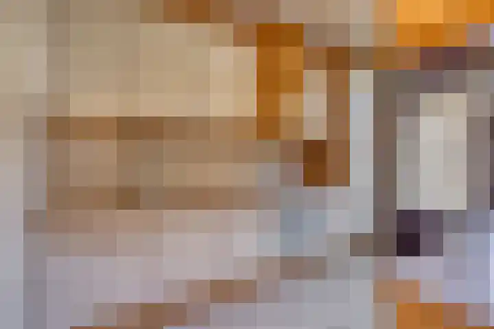 Zwaardvegersdreef 1 Maastricht thumbnail 11