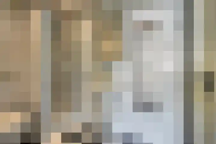 Zwaardvegersdreef 1 Maastricht thumbnail 19