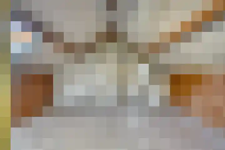 Zwaardvegersdreef 1 Maastricht thumbnail 22