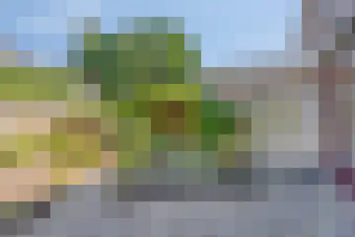 Zwaardvegersdreef 1 Maastricht thumbnail 25