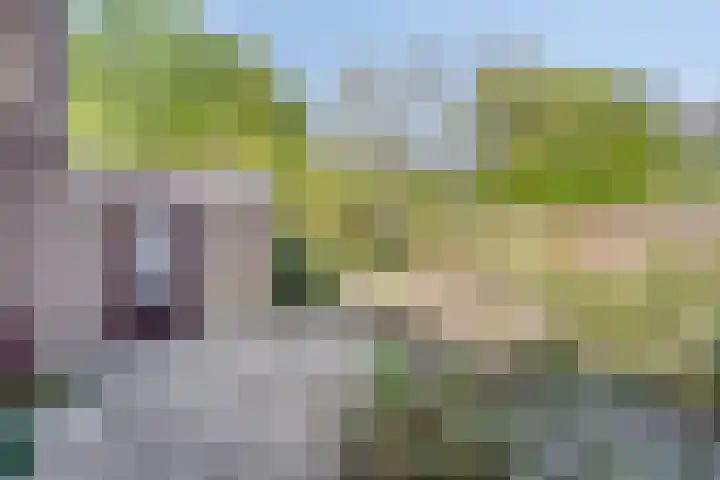 Zwaardvegersdreef 1 Maastricht thumbnail 26