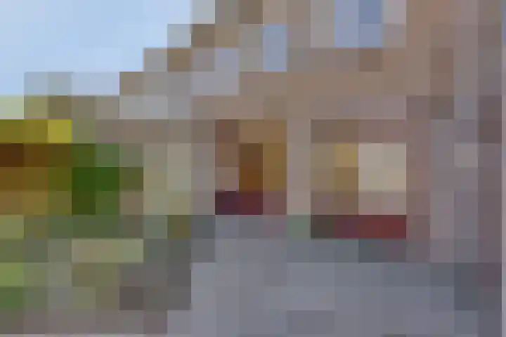 Zwaardvegersdreef 1 Maastricht thumbnail 28