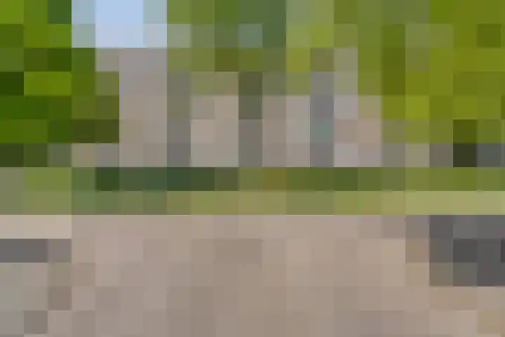Zwaardvegersdreef 1 Maastricht thumbnail 32