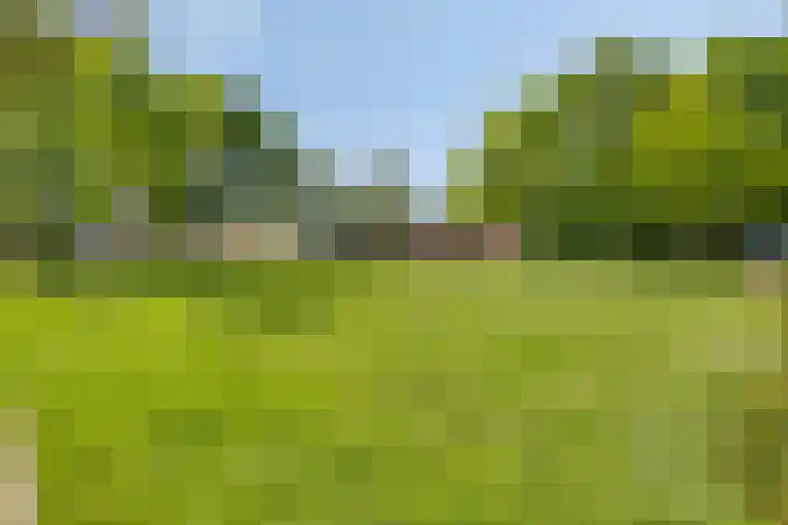 Zwaardvegersdreef 1 Maastricht thumbnail 33