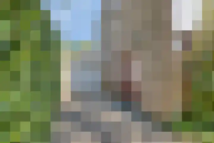 Zwaardvegersdreef 1 Maastricht thumbnail 4