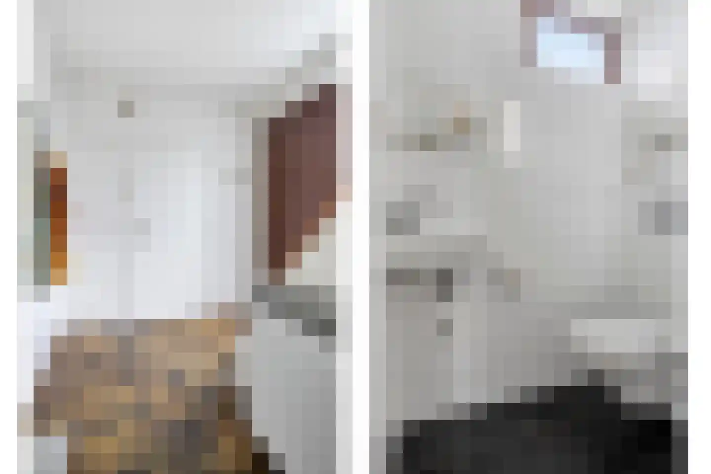 Zwaardvegersdreef 8 Maastricht thumbnail 13
