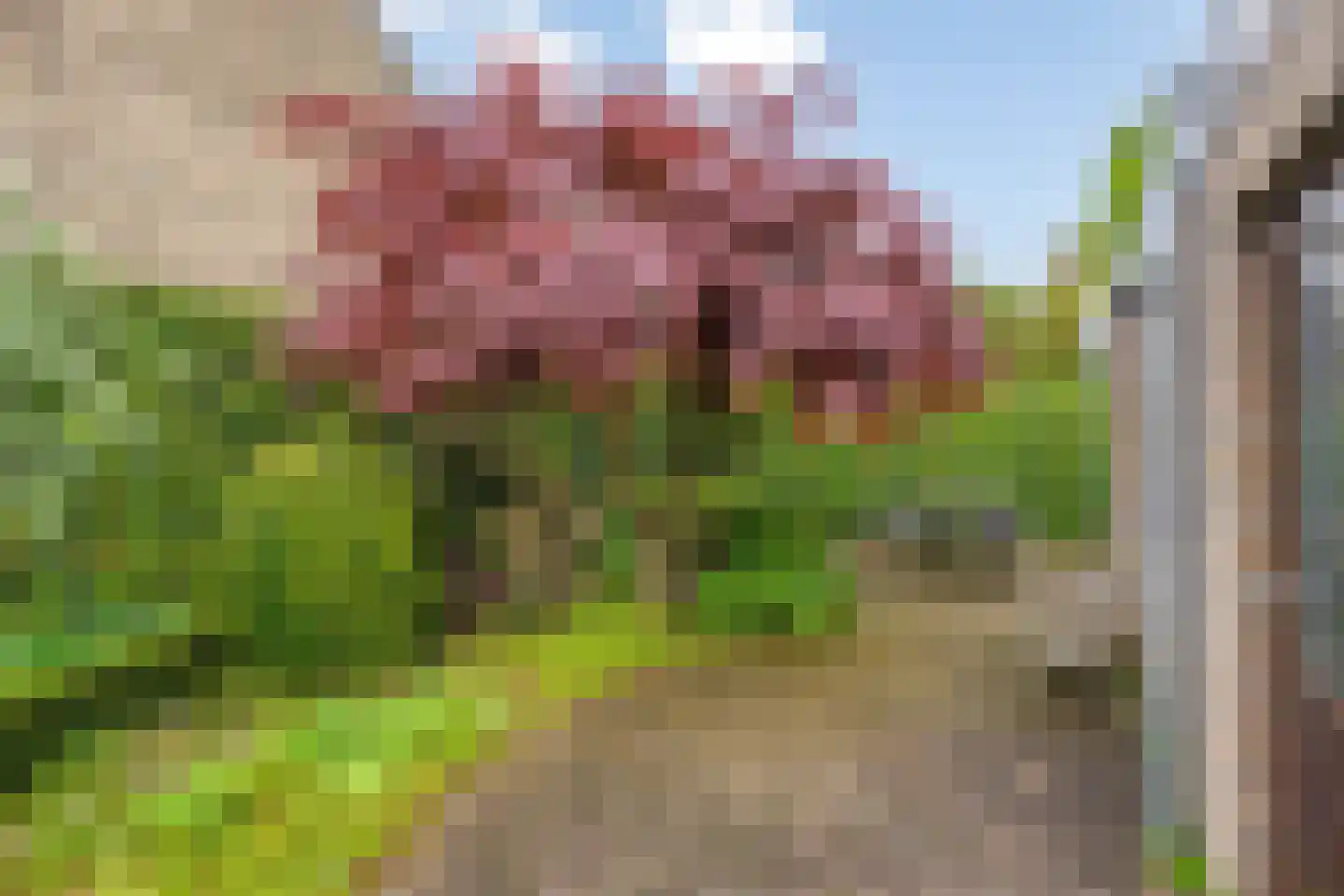 Zwaardvegersdreef 8 Maastricht thumbnail 27