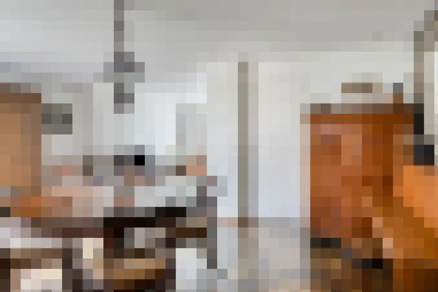 Zwaardvegersdreef 8 Maastricht thumbnail 9