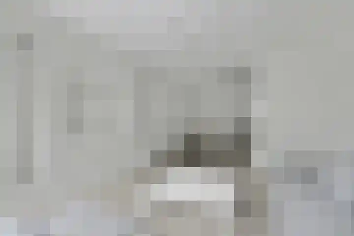 Zwaardvegersgaarde 10 Den Haag thumbnail 11