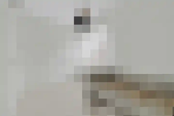 Zwaardvegersgaarde 10 Den Haag thumbnail 18