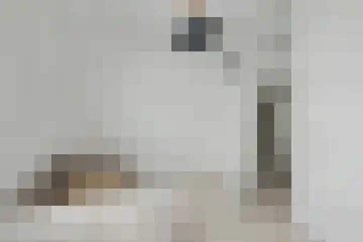 Zwaardvegersgaarde 10 Den Haag thumbnail 20