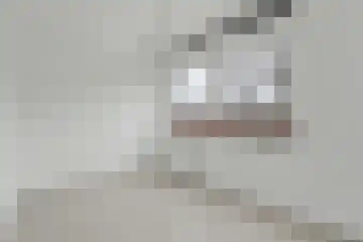Zwaardvegersgaarde 10 Den Haag thumbnail 31