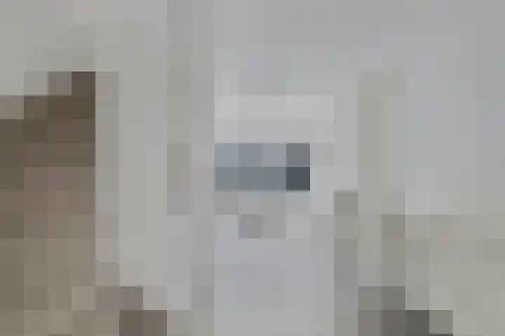 Zwaardvegersgaarde 10 Den Haag thumbnail 8