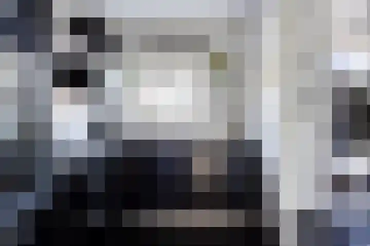 Zwaardvegersgaarde 15 Den Haag thumbnail 10