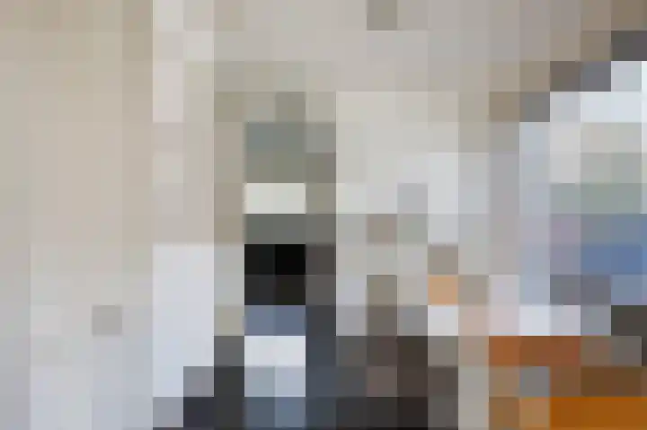 Zwaardvegersgaarde 15 Den Haag thumbnail 14