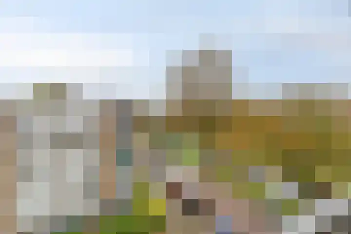 Zwaardvegersgaarde 45 Den Haag thumbnail 17