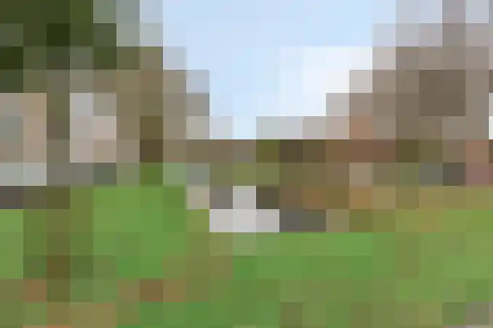 Zwaardvegersgaarde 45 Den Haag thumbnail 23