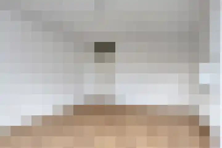 Zwaardvegersgaarde 45 Den Haag thumbnail 8