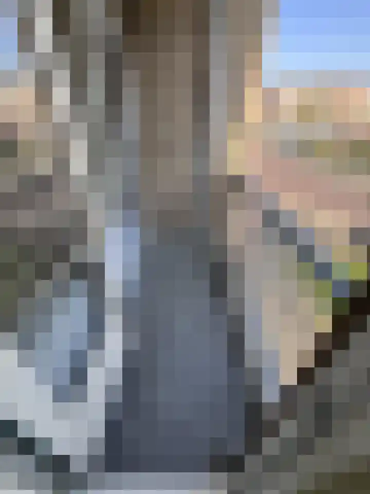 Zwaardvegersgaarde 51 Den Haag thumbnail 8
