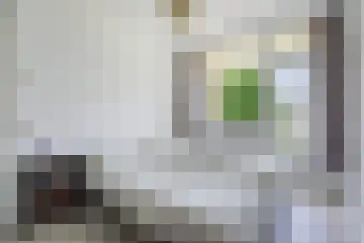 Zwaardvegersgaarde 77 Den Haag thumbnail 14