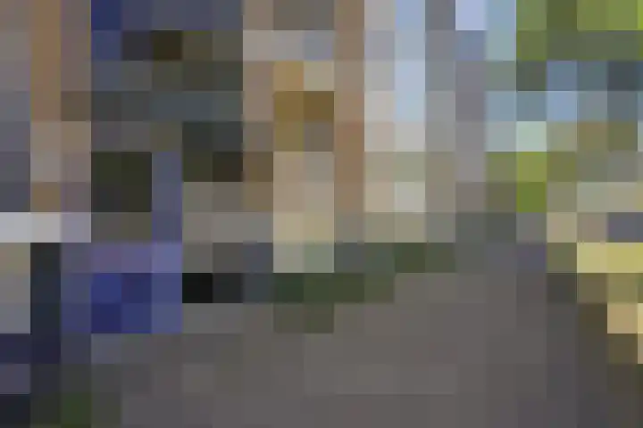 Zwaardvegersgaarde 77 Den Haag thumbnail 18