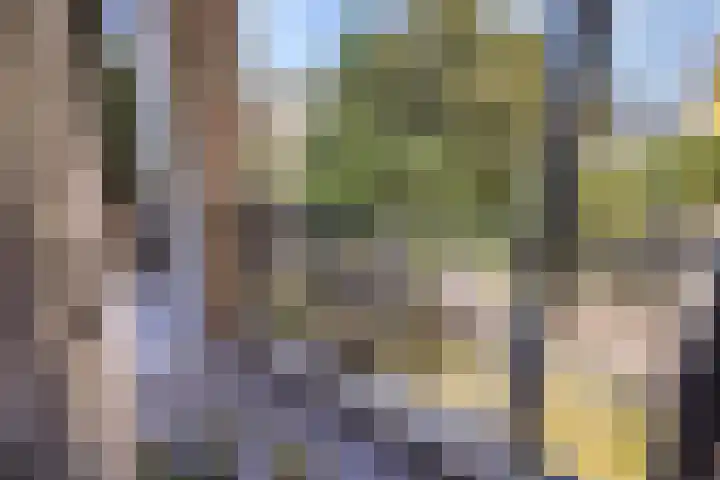 Zwaardvegersgaarde 77 Den Haag thumbnail 31