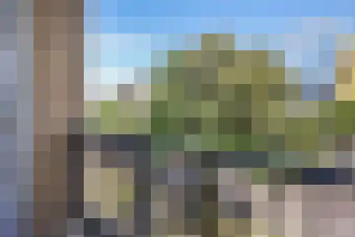 Zwaardvegersgaarde 77 Den Haag thumbnail 32