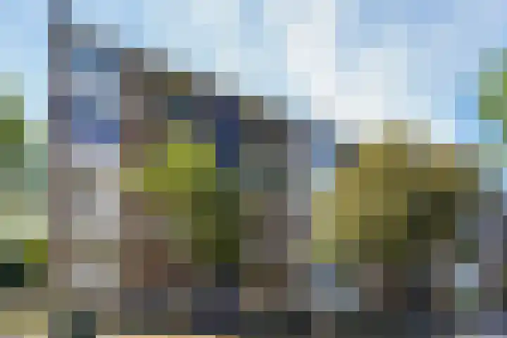 Zwaardvegersgaarde 77 Den Haag thumbnail 35
