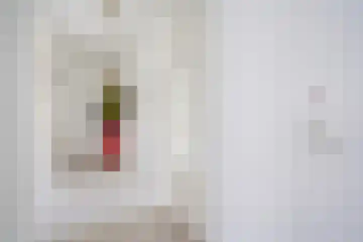 Zwaardvegersgaarde 77 Den Haag thumbnail 4